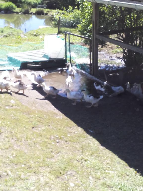 Ferdrupt Ferme Auberge A La Colline מראה חיצוני תמונה