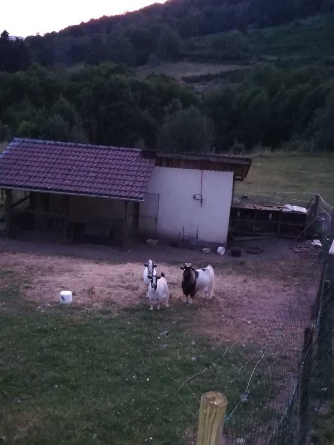Ferdrupt Ferme Auberge A La Colline מראה חיצוני תמונה